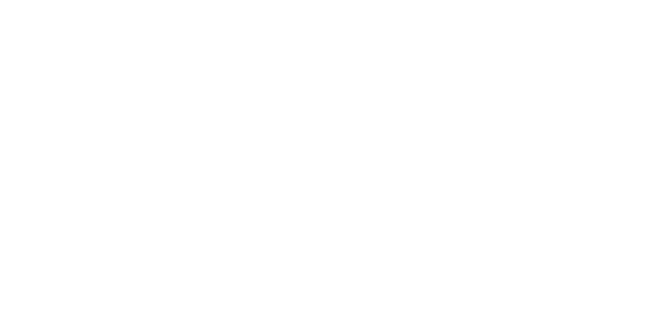 Fédération Internationale de Motocyclisme (FIM) logo